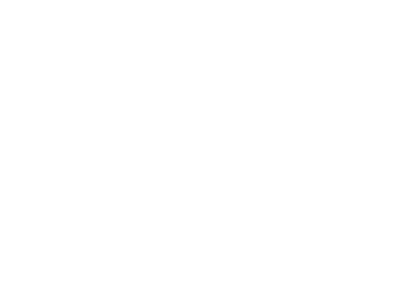 Tolu Petrol logo